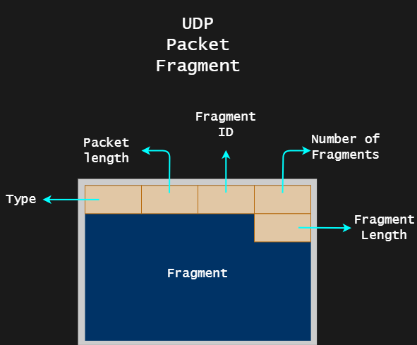 UDP Fragment Layout